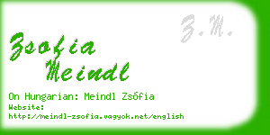 zsofia meindl business card